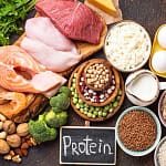 High Protein Foods List