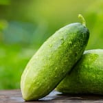 Nutrition in cucumber