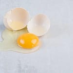 Protein In 1 Egg