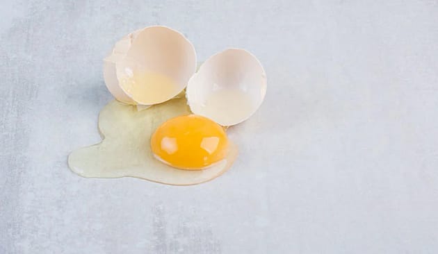 Protein In 1 Egg
