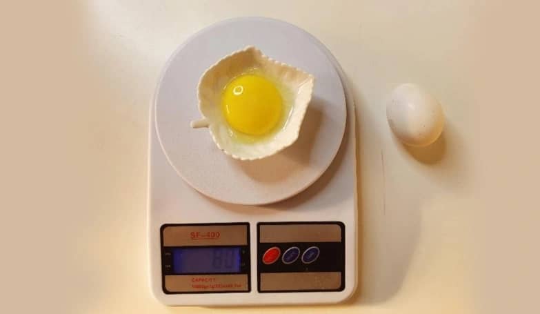 Weight of egg Yolk