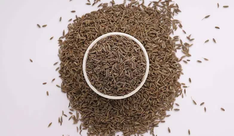 Cumin seeds (Condiments and spices)