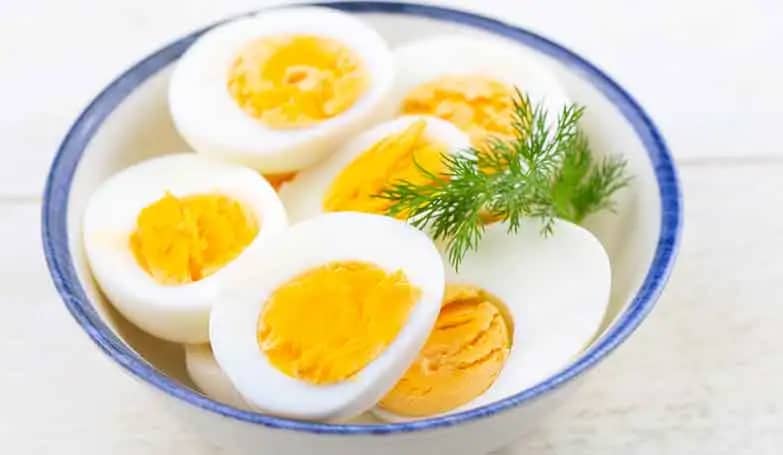 Egg, Poultry, White, Boiled