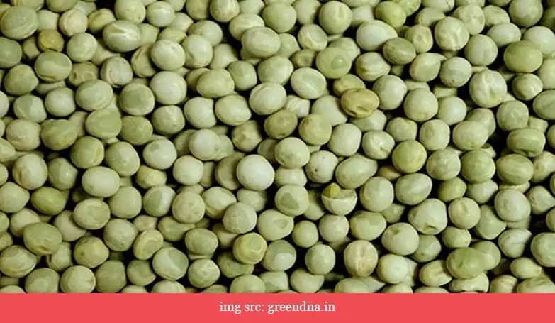 Peas, dry (Grain legumes)