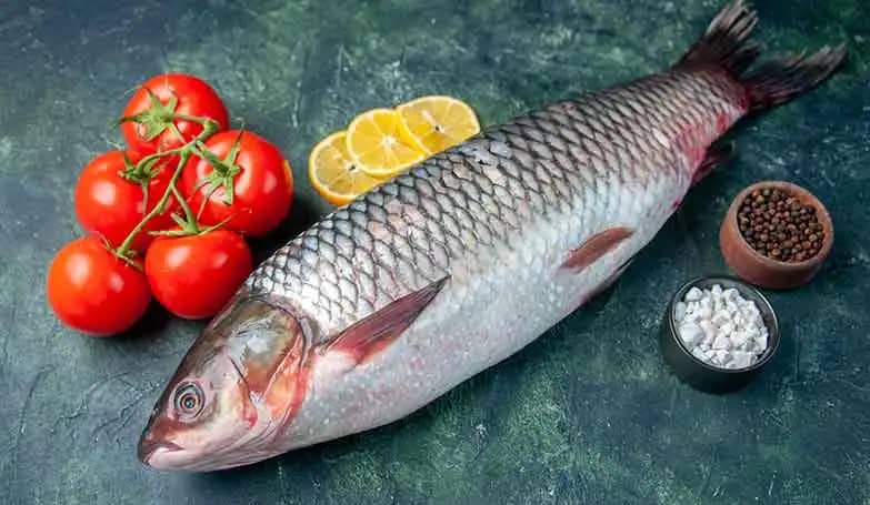 Rohu (Freshwater fish and shellfish)