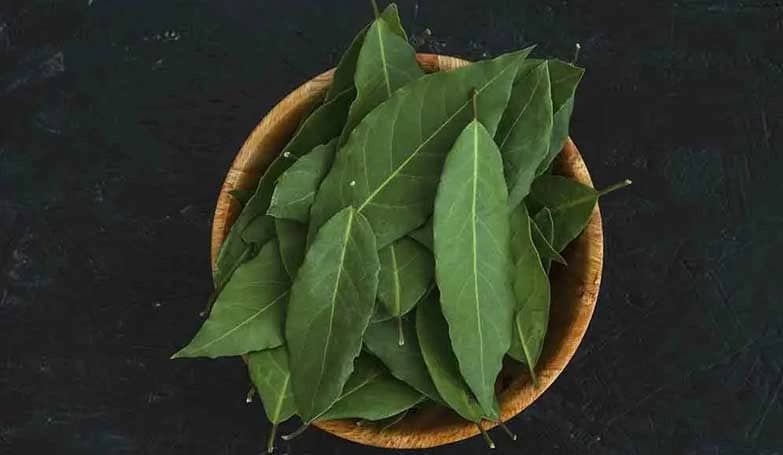 Bathua leaves (Green leafy vegetables)