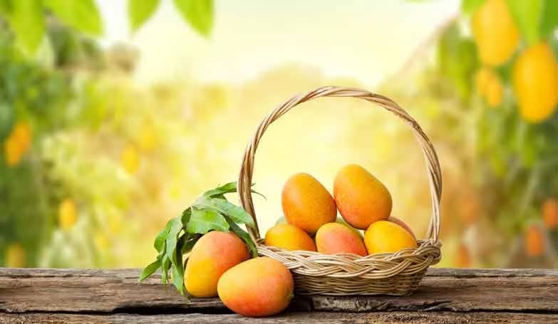 Mango Nutrition