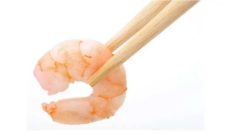 shrimp nutrition