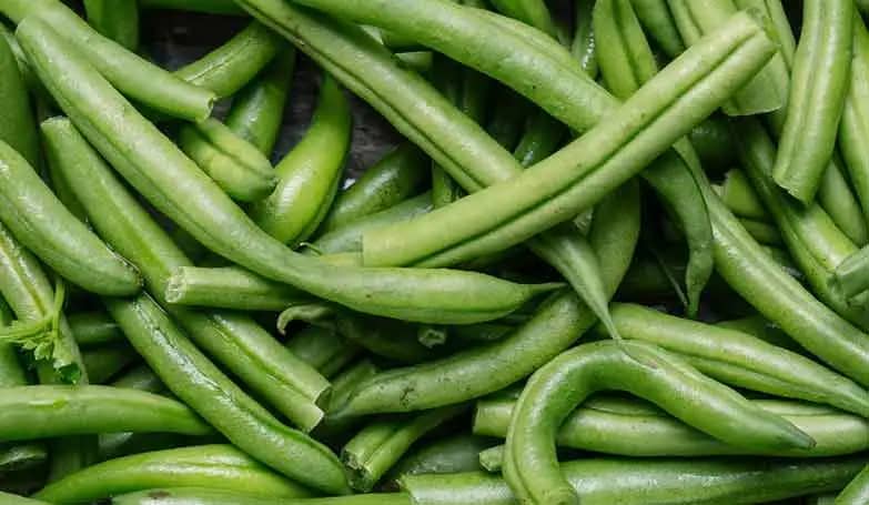 French beans, hybrid (Other vegetables)