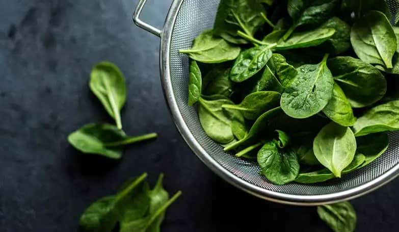 Protein In Spinach