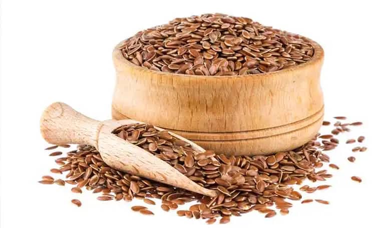 Protein In Flax seeds