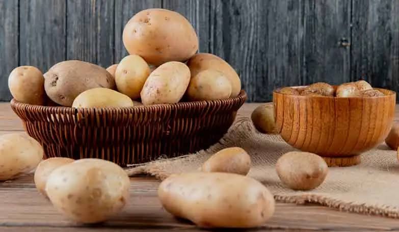 Protein In Potato