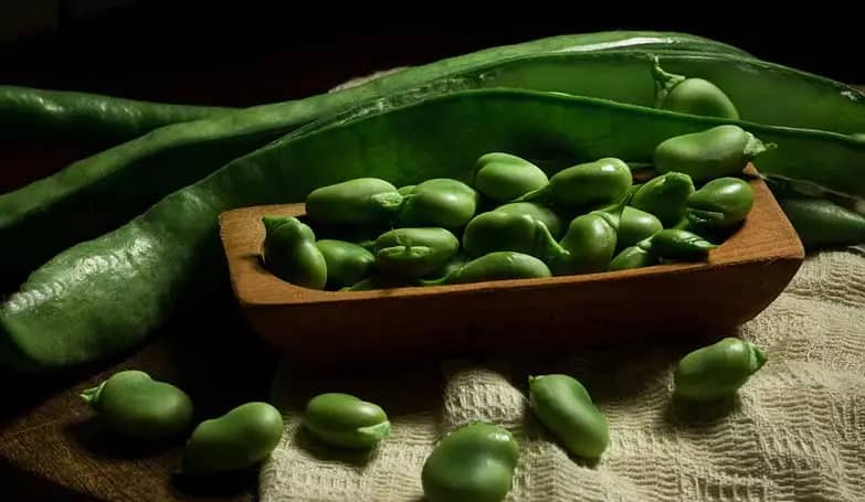 Broad beans (Other vegetables)