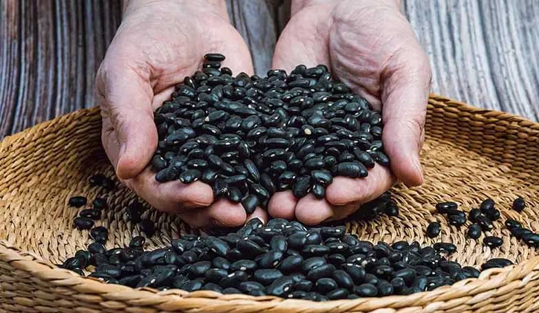Protein In Black Beans